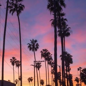 Meet your Posher, Ray